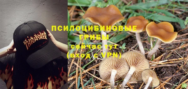 соль ск Беломорск