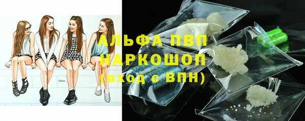 гашик Белокуриха
